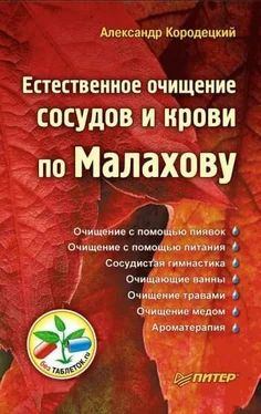 Александр Кородецкий Естественное очищение сосудов и крови по Малахову обложка книги