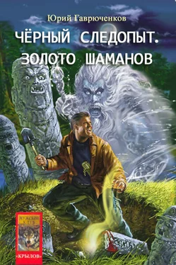 Юрий Гаврюченков Золото шаманов обложка книги