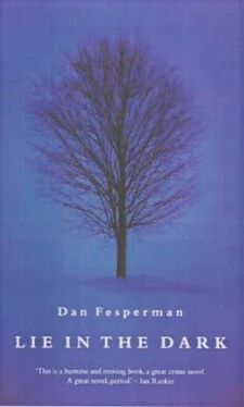 Dan Fesperman Lie in the Dark