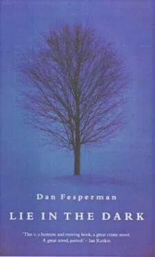 Dan Fesperman Lie in the Dark обложка книги