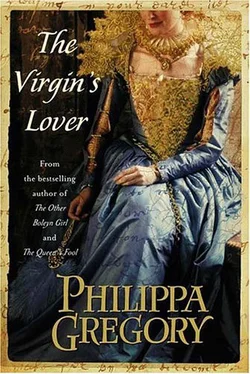 Philippa Gregory The Virgin's Lover обложка книги