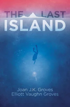 Joan Groves The Last Island обложка книги