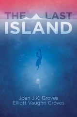 Joan Groves - The Last Island