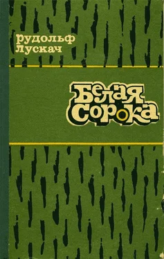 Рудольф Лускач Белая сорока обложка книги