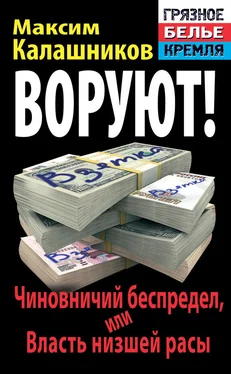 Максим Калашников Воруют! Чиновничий беспредел, или Власть низшей расы обложка книги