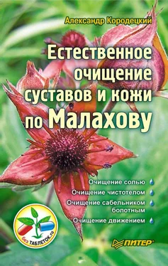 Александр Кородецкий Естественное очищение суставов и кожи по Малахову обложка книги