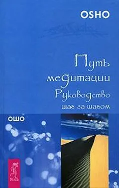 Шри Бхагван Путь медитации. Руководство шаг за шагом обложка книги