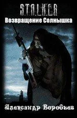 Александр Воробьёв - Возвращение Солнышка
