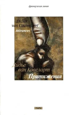 Дидье Ковеларт Притяжения [новеллы] обложка книги