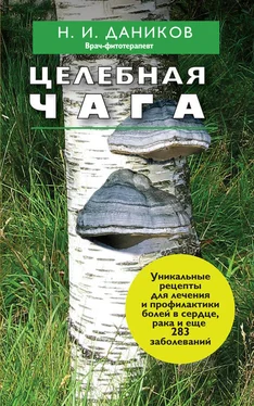 Николай Даников Целебная чага обложка книги