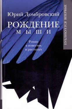 Юрий Домбровский Рождение мыши обложка книги