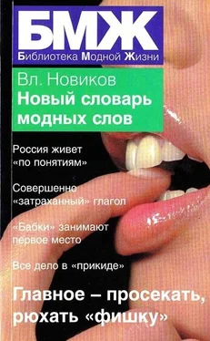 Владимир Новиков Новый словарь модных слов обложка книги