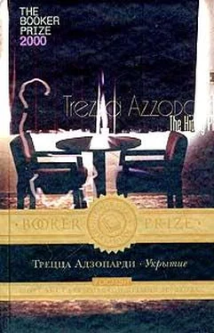 Трецца Адзопарди Укрытие обложка книги