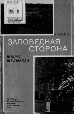 Виктор Бочков Заповедная сторона обложка книги