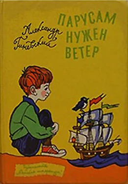 Александр Гиневский Парусам нужен ветер обложка книги