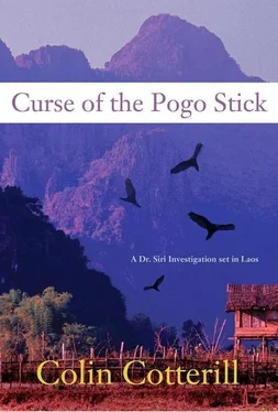 Colin Cotterill Curse of the Pogo Stick обложка книги