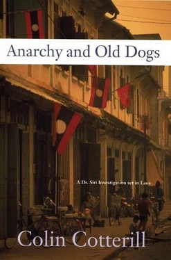 Colin Cotterill Anarchy and the Old Dogs обложка книги