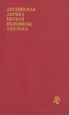 Джон Донн Английская лирика первой половины XVII века обложка книги