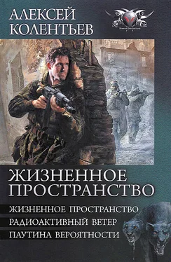 Алексей Колентьев Жизненное пространство. Радиоактивный ветер. Паутина вероятности обложка книги