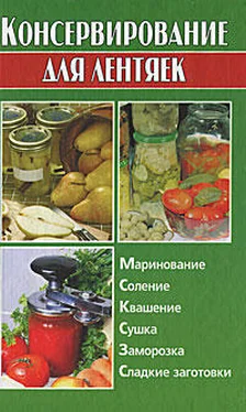 Алина Калинина Консервирование для лентяек обложка книги