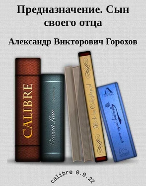 Александр Горохов Предназначение. Сын своего отца обложка книги