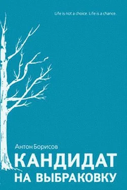 Антон Борисов Кандидат на выбраковку обложка книги