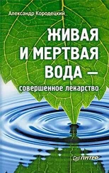 Александр Кородецкий - Живая и мертвая вода — совершенное лекарство