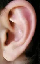 También tengo dos orejas Y también tengo dos cejas muy grandes - фото 136