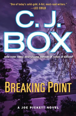 C. Box Breaking Point обложка книги