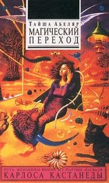 Тайша Абеляр Магический переход. Путь женщины-воина обложка книги