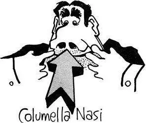 Paul Glover COLUMELLA NASI 23 OBSCURE AND OBSOLETE WORDS The average adult - фото 14