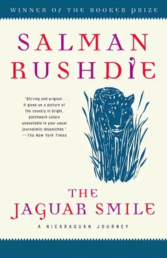 Salman Rushdie The Jaguar Smile обложка книги