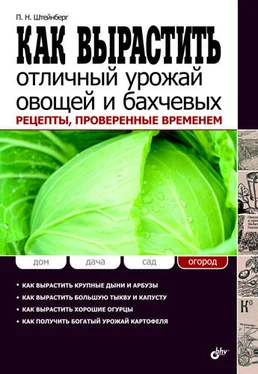 Павел Штейнберг Как вырастить отличный урожай овощей и бахчевых. Рецепты, проверенные временем обложка книги