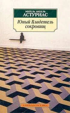 Мигель Астуриас Юный владетель сокровищ обложка книги