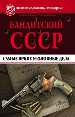 Андрей Колесник Бандитский СССР. Самые яркие уголовные дела обложка книги