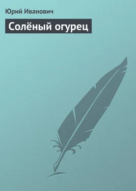 Юрий Иванович Солёный огурец обложка книги