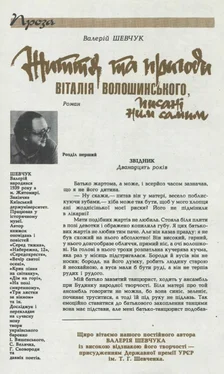 Валерій Шевчук Життя та пригоди Віталія Волошинського, писані ним самим обложка книги