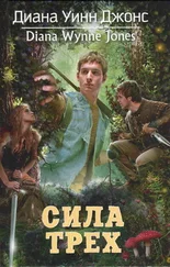 Диана Джонс - Сила Трех