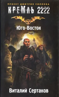 Виталий Сертаков Кремль 2222. Юго-Восток обложка книги