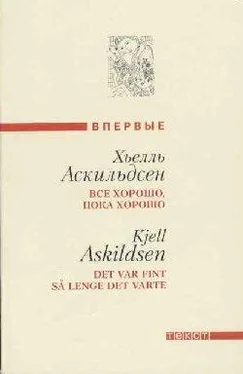 Хьелль Аскильдсен Последние заметки Томаса Ф. обложка книги