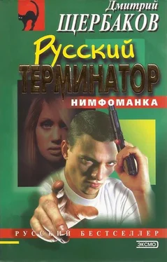 Дмитрий Щербаков Русский терминатор обложка книги