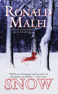 Ronald Malfi Snow обложка книги