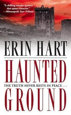 Erin Hart Haunted Ground обложка книги