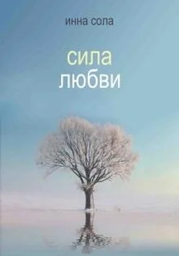 Инна Сола Сила любви обложка книги