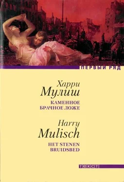 Харри Мулиш Каменное брачное ложе обложка книги