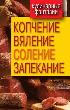 Ольга Бабкова Копчение, вяление, соление, запекание обложка книги