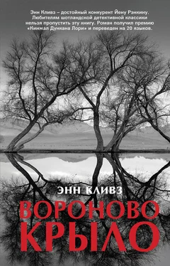 Энн Кливз Вороново крыло обложка книги