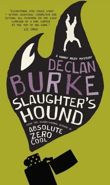 Declan Burke Slaughter's hound обложка книги