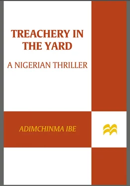 Adimchinma Ibe Treachery in the Yard обложка книги