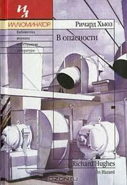 Ричард Хьюз В опасности обложка книги